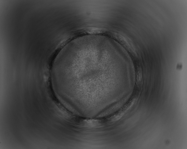 X0000102820367200809081137