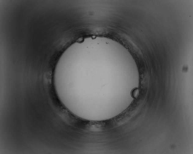 X0000102820368200809081137