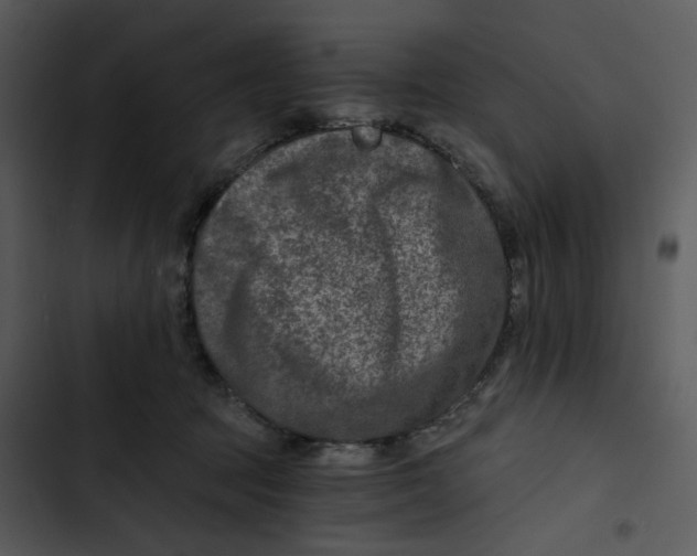 X0000102820369200809081137