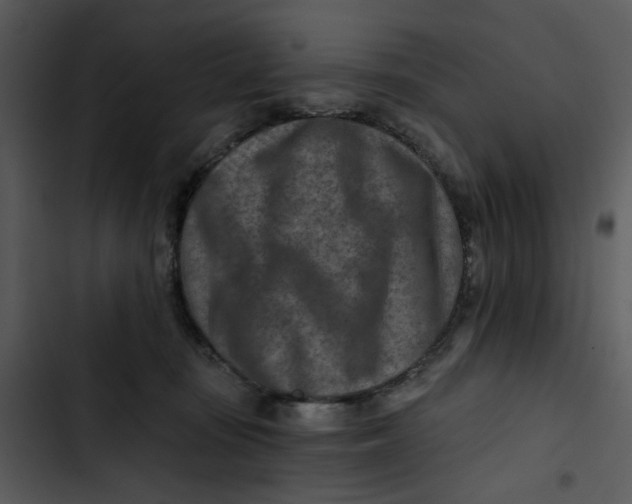 X0000102820371200809081137