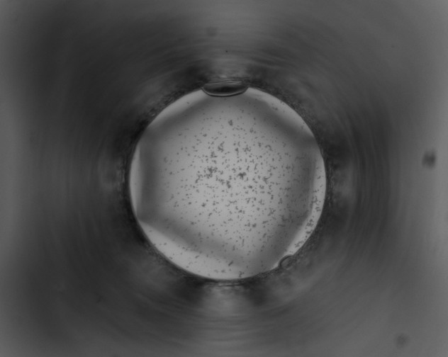 X0000102820372200809081137