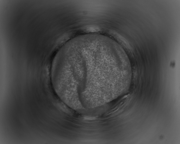 X0000102820373200809081137