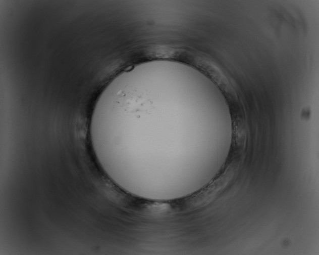 X0000102820374200809081137