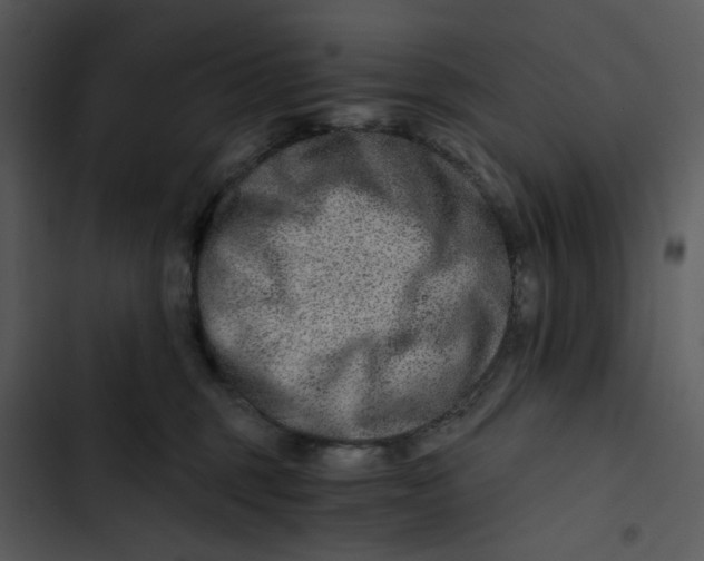 X0000102820375200809081137