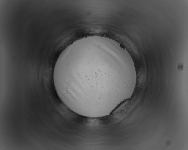 X0000102820376200809081137