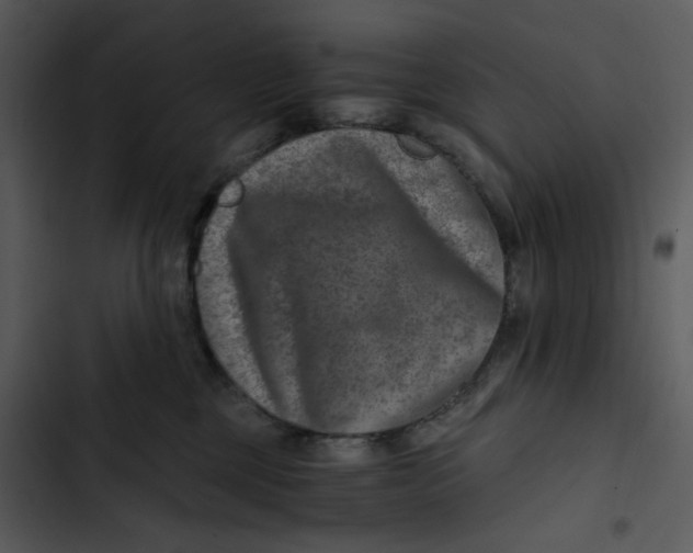 X0000102820377200809081137