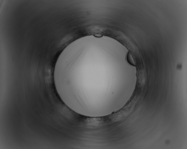 X0000102820378200809081137