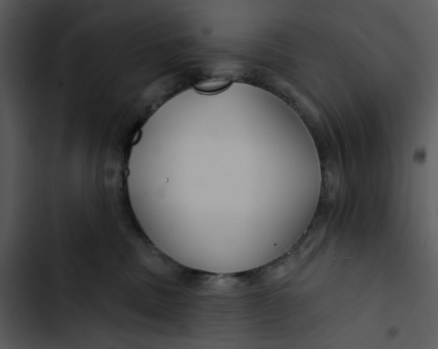 X0000102820379200809081137