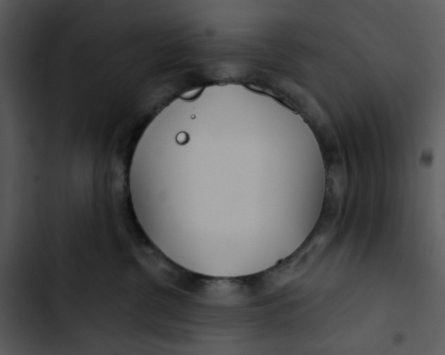 X0000102820380200809081137