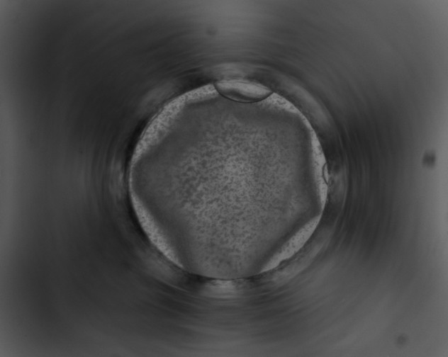 X0000102820381200809081137