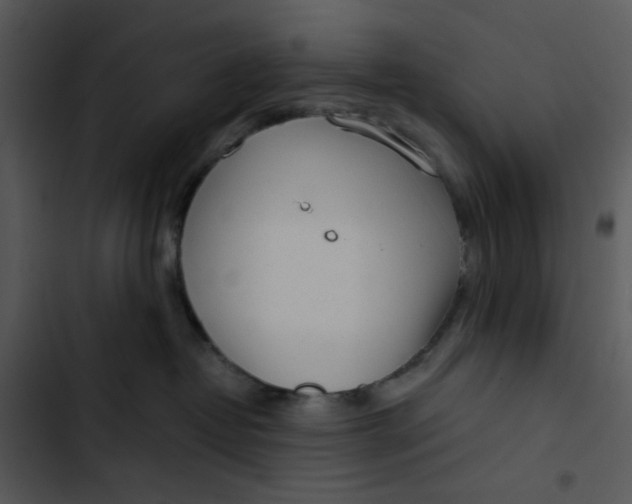 X0000102820382200809081137