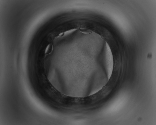 X0000102820383200809081137