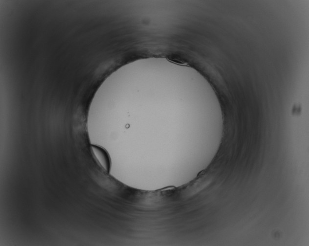 X0000102820384200809081137