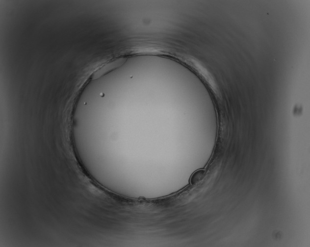 X0000102820385200809081136