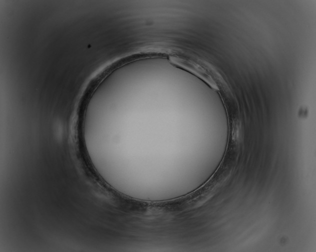 X0000102820388200809081136