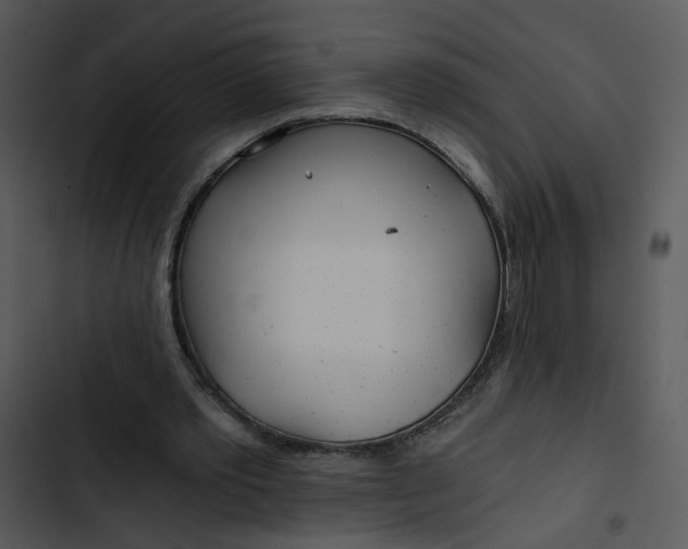 X0000102820389200809081136