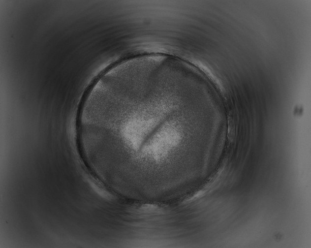 X0000102820390200809081136