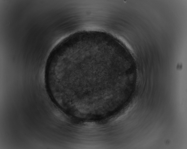 X0000102820391200809081136