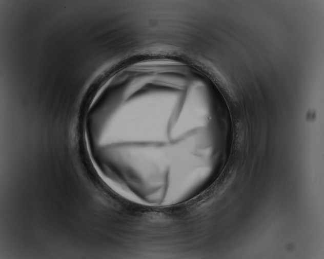 X0000102820392200809081136