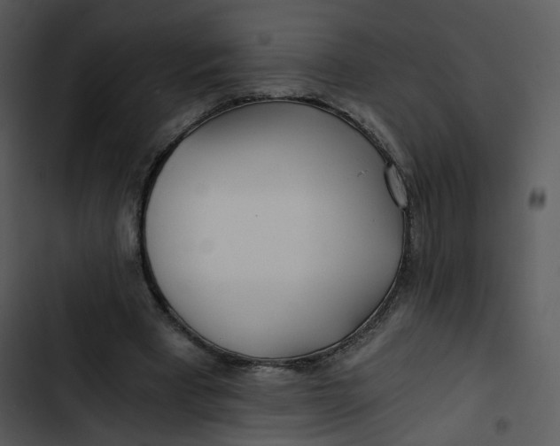 X0000102820393200809081136