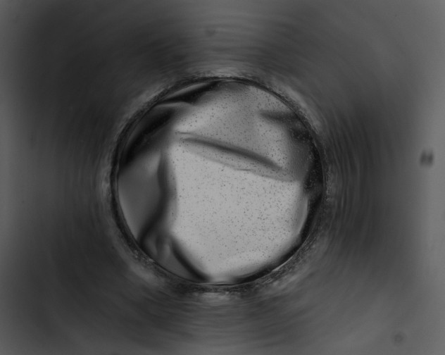 X0000102820394200809081136