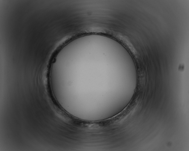 X0000102820395200809081136