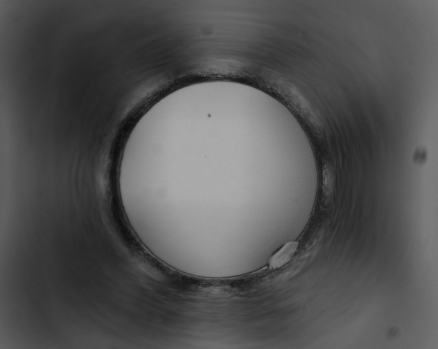 X0000102820396200809081136