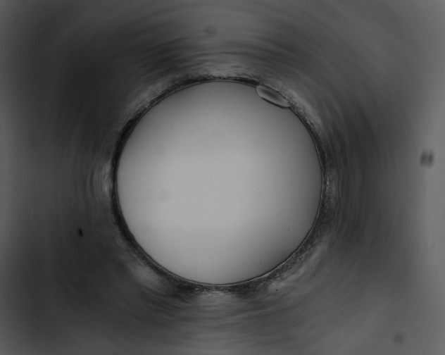 X0000102820397200809081136