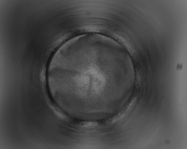 X0000102820398200809081136