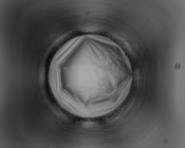 X0000102820400200809081136