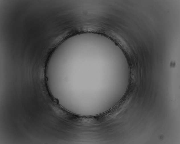 X0000102820401200809081136