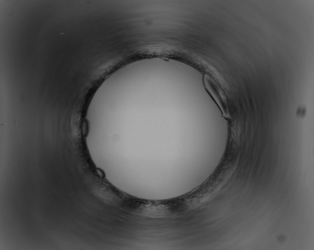 X0000102820403200809081136