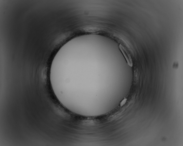 X0000102820404200809081136