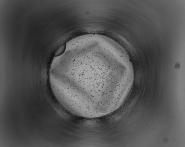 X0000102820405200809081136