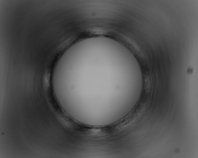 X0000102820406200809081136