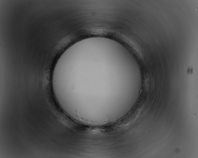 X0000102820407200809081136