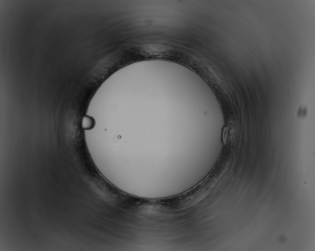 X0000102820408200809081136