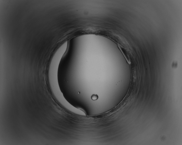 X0000102820409200809081136