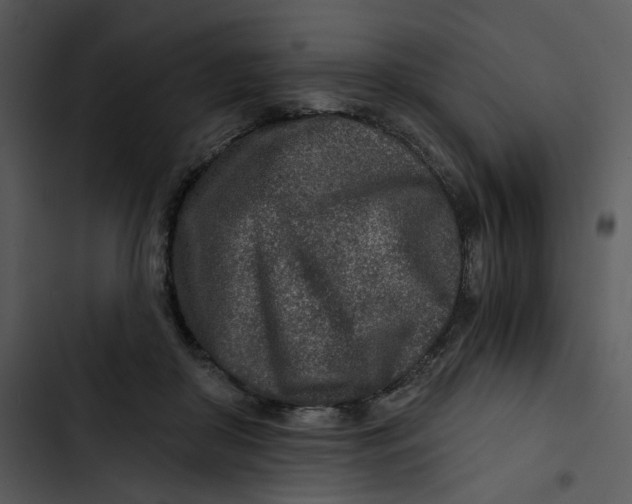 X0000102820410200809081136