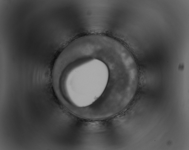 X0000102820411200809081135