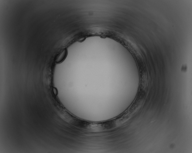 X0000102820413200809081135