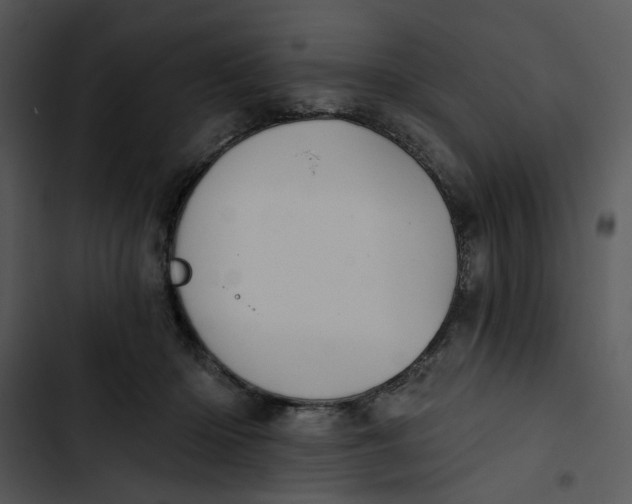 X0000102820414200809081135