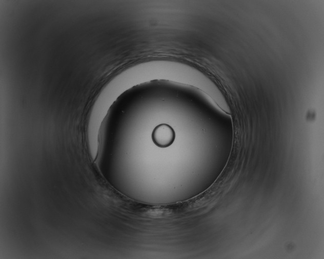 X0000102820415200809081135