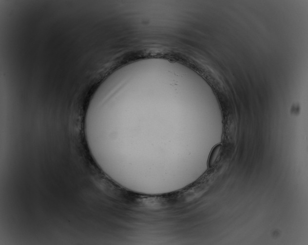 X0000102820417200809081135