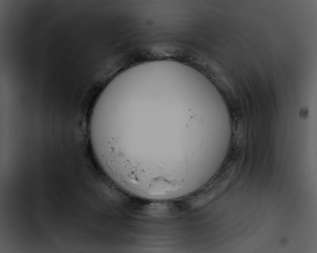 X0000102820418200809081135