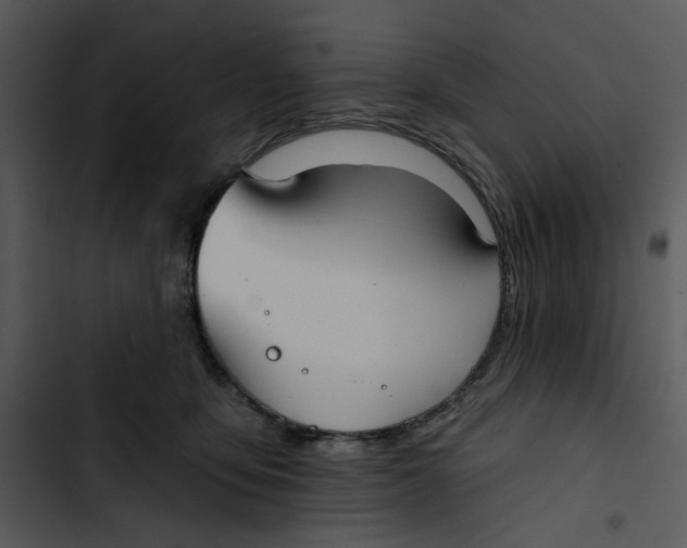 X0000102820419200809081135