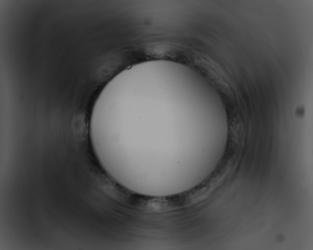 X0000102820420200809081135