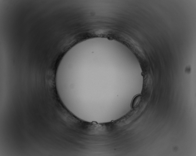 X0000102820421200809081135