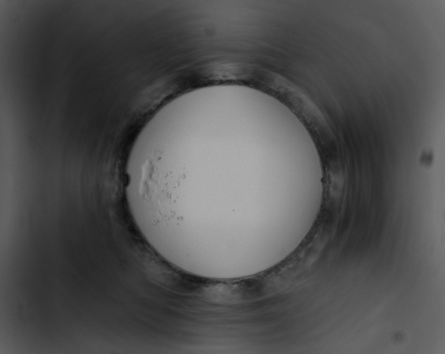 X0000102820422200809081135