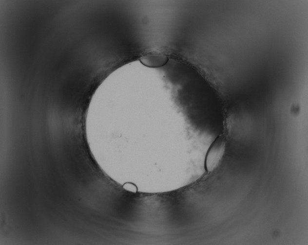 X0000102820423200809081135